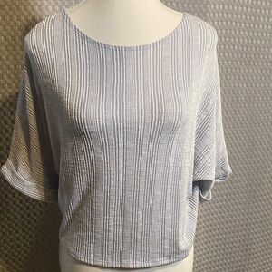 Caution To The Wind Light Gray Striped Blouse